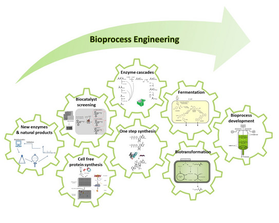 Bioprocess Engineering 